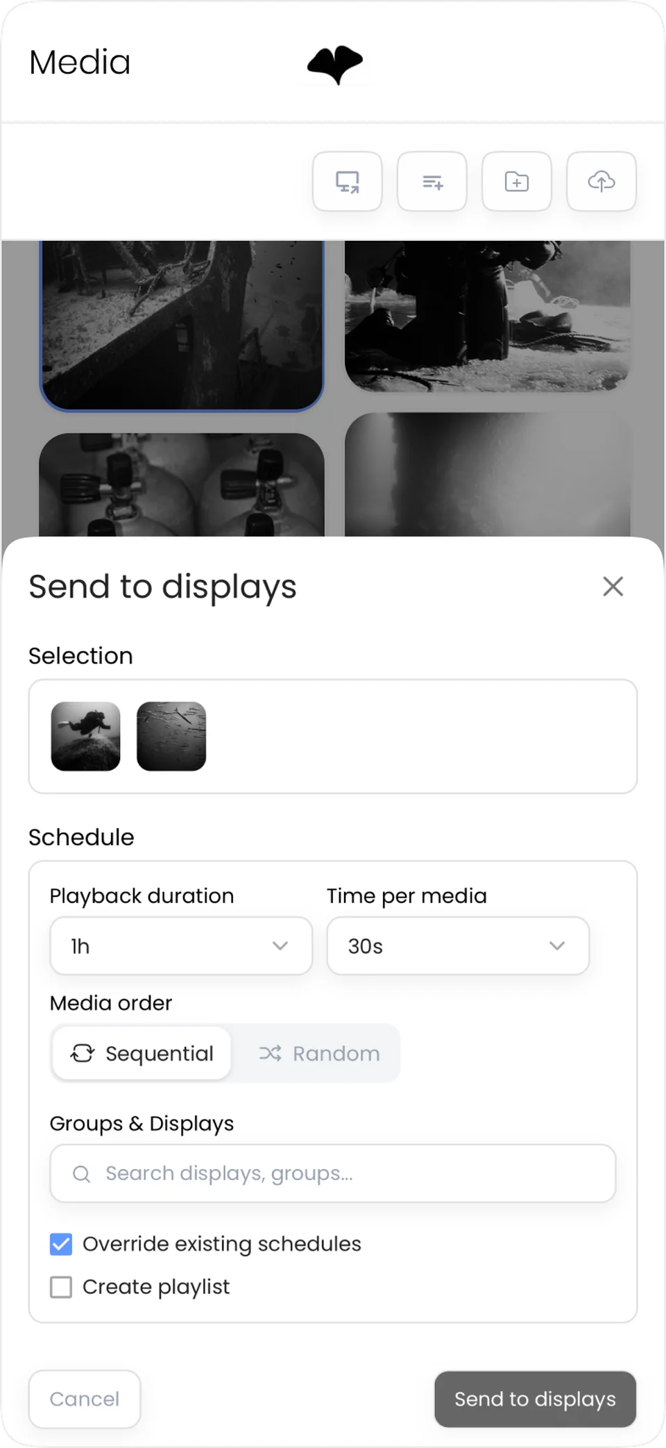 The Ginko Studio app